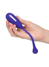 Фиолетовый шарик с электростимуляцией и вибрацией Intimate E-Stimulator Remote Kegel Exerciser - California Exotic Novelties - купить с доставкой в Махачкале