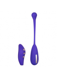 Фиолетовый шарик с электростимуляцией и вибрацией Intimate E-Stimulator Remote Kegel Exerciser - California Exotic Novelties - купить с доставкой в Махачкале