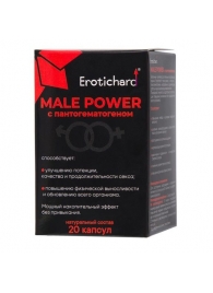 Капсулы для мужчин Erotichard male power с пантогематогеном - 20 капсул (0,370 гр.) - Erotic Hard - купить с доставкой в Махачкале