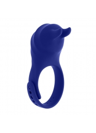 Синее эрекционное виброкольцо с клиторальной подушечкой и пультом ДУ Adjustable Fun Ring - Zero Tolerance - в Махачкале купить с доставкой