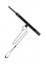 Черный узкий однослойный ошейник с серебристым поводком-цепочкой - Pecado - купить с доставкой в Махачкале