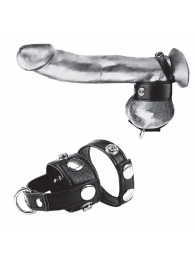 Утяжка для мошонки и пениса Cock Ring With 1  Ball Stretcher And Optional Weight Ring - BlueLine - купить с доставкой в Махачкале