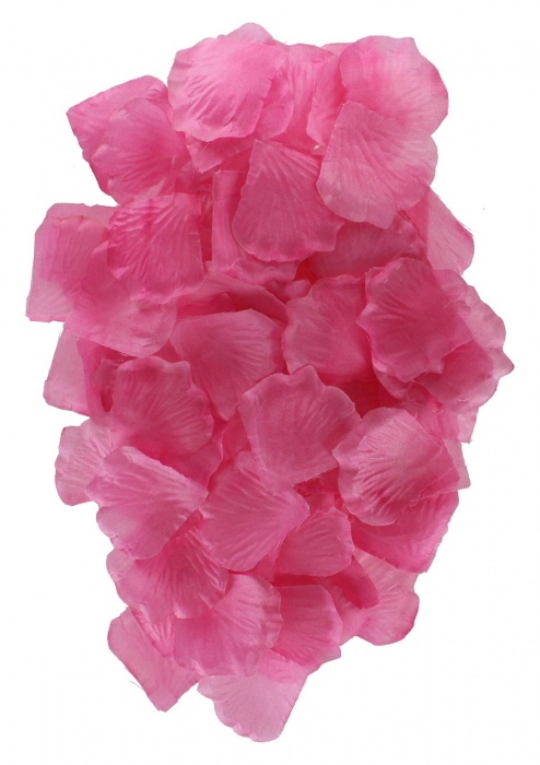 Эротический набор FANTASTIC PURPLE SEX TOY KIT - Toy Joy - купить с доставкой в Махачкале