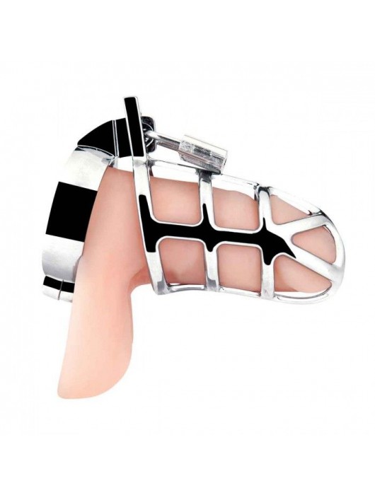 Серебристая металлическая клетка для члена с замком Enslave Cock Cage - BlueLine - купить с доставкой в Махачкале