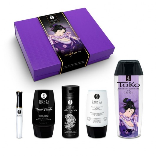 Подарочный набор Naughter Kit - Shunga - купить с доставкой в Махачкале