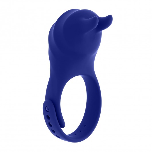 Синее эрекционное виброкольцо с клиторальной подушечкой и пультом ДУ Adjustable Fun Ring - Zero Tolerance - в Махачкале купить с доставкой