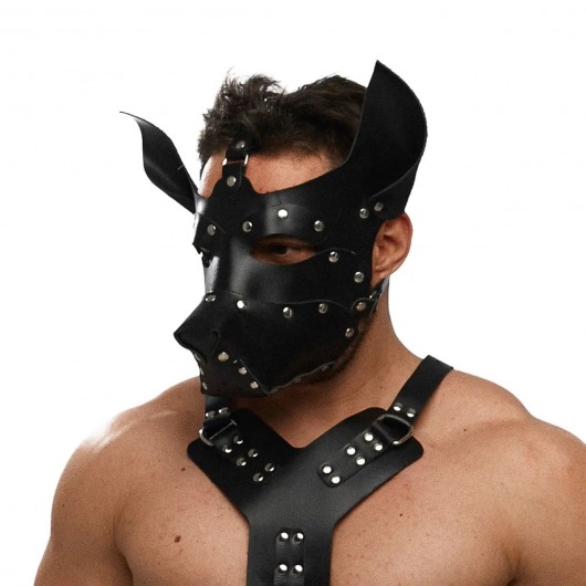 Черная кожаная маска «Собака» - Crazy Handmade - купить с доставкой в Махачкале