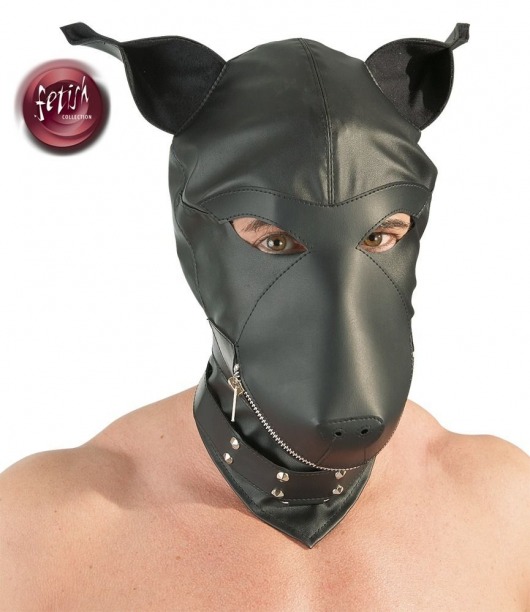 Шлем-маска Dog Mask в виде морды собаки - Orion - купить с доставкой в Махачкале