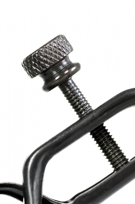 Черно-золотистые зажимы для сосков TOYFA Theatre - ToyFa - купить с доставкой в Махачкале